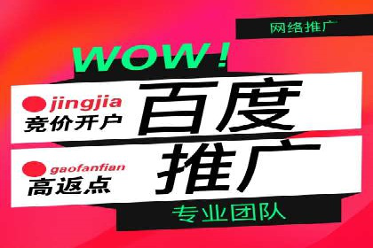 SEM托管代运营案例：精准营销策略